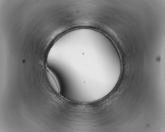 X0000091531218200709141428