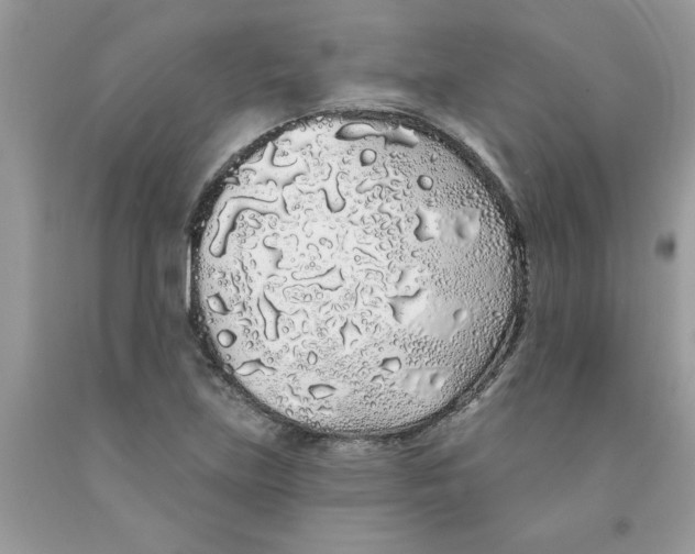X0000091531219200709141428