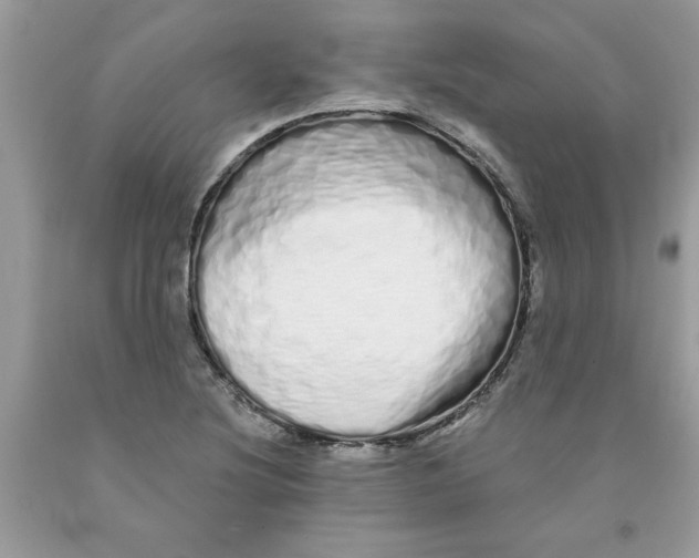 X0000091531220200709141428