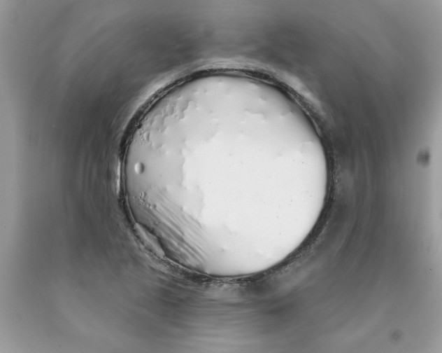 X0000091531221200709141428