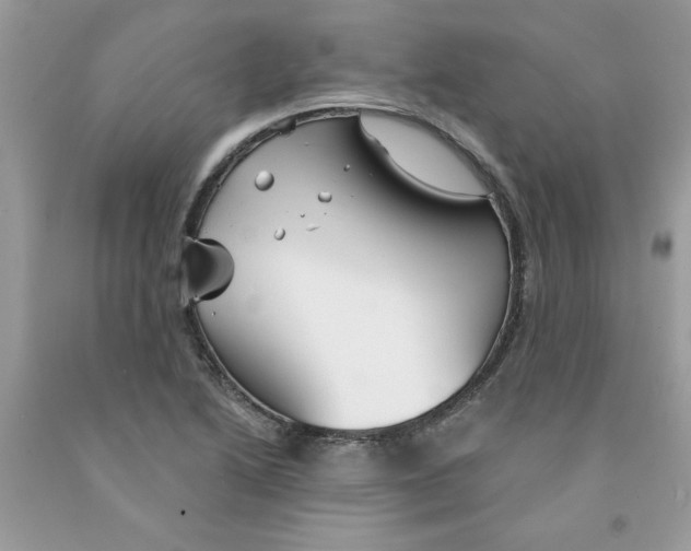 X0000091531222200709141428