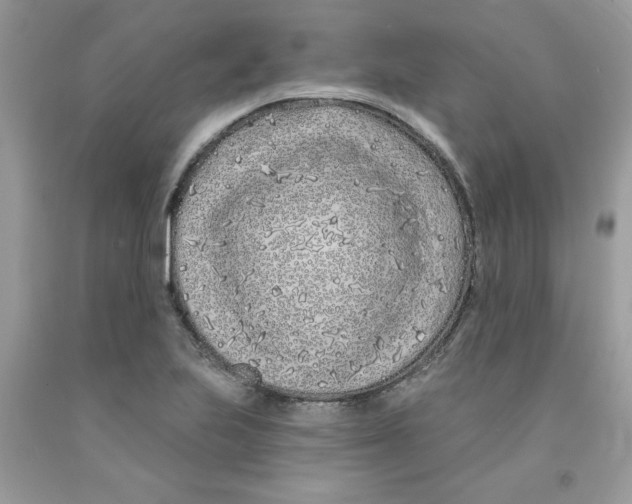 X0000091531223200709141428