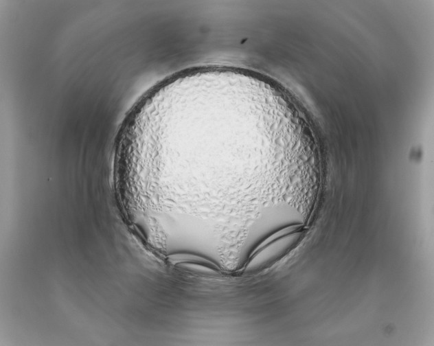 X0000091531224200709141428