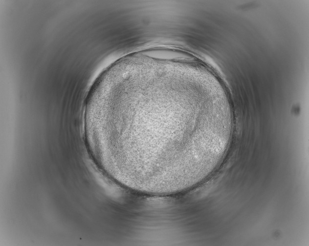 X0000091531227200709141428