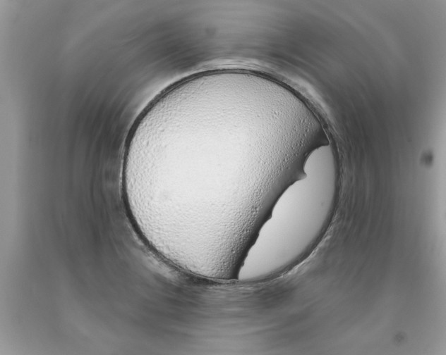 X0000091531228200709141428