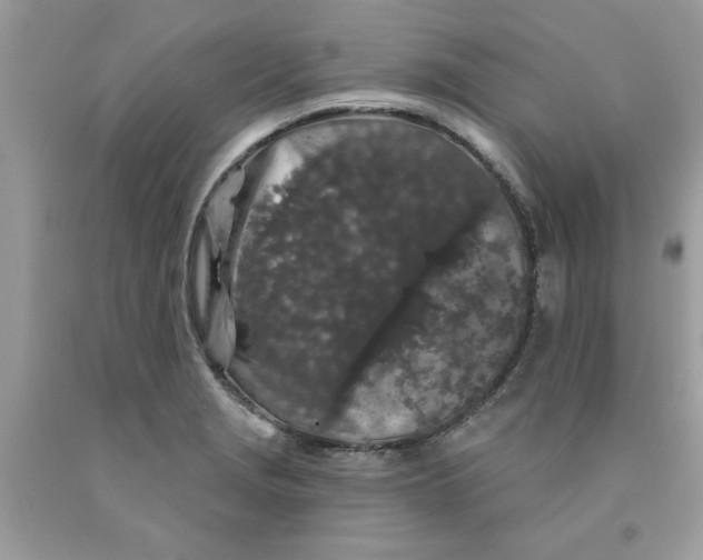 X0000091531229200709141428