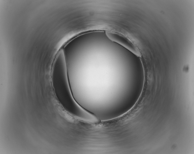 X0000091531230200709141428