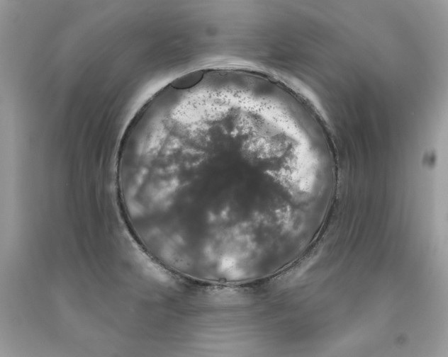 X0000091531231200709141428