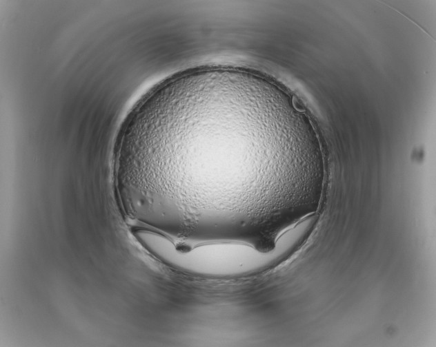 X0000091531232200709141428