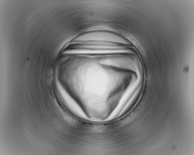 X0000091531233200709141428