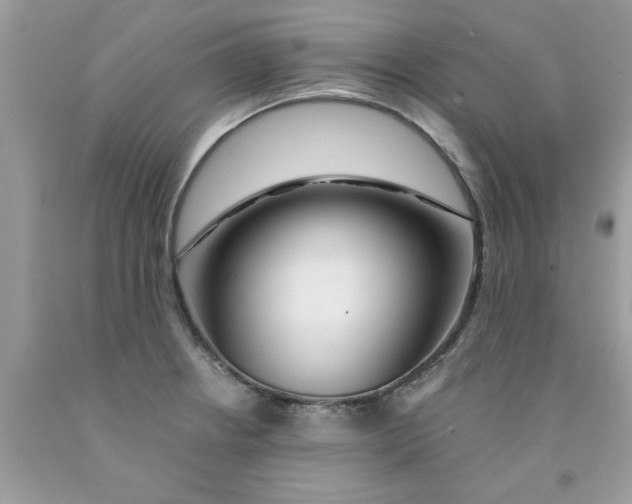 X0000091531234200709141429
