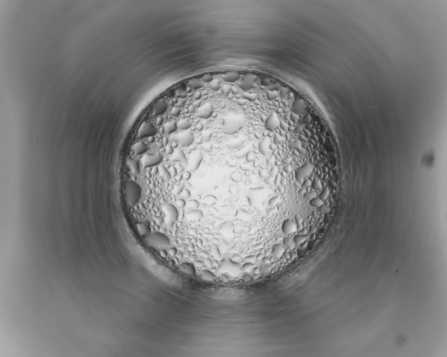 X0000091531235200709141429