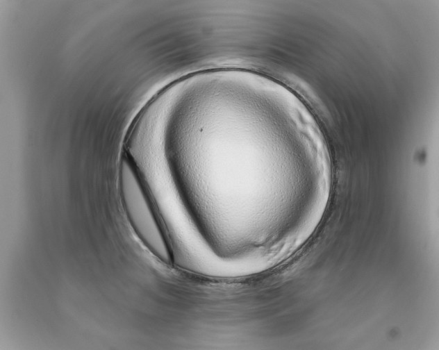 X0000091531236200709141429