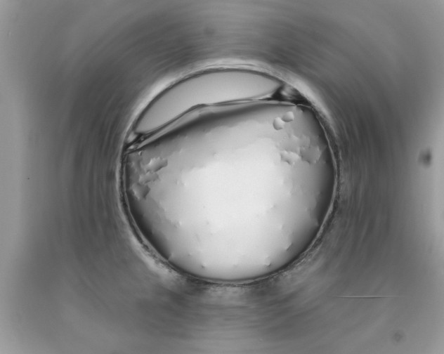 X0000091531237200709141429