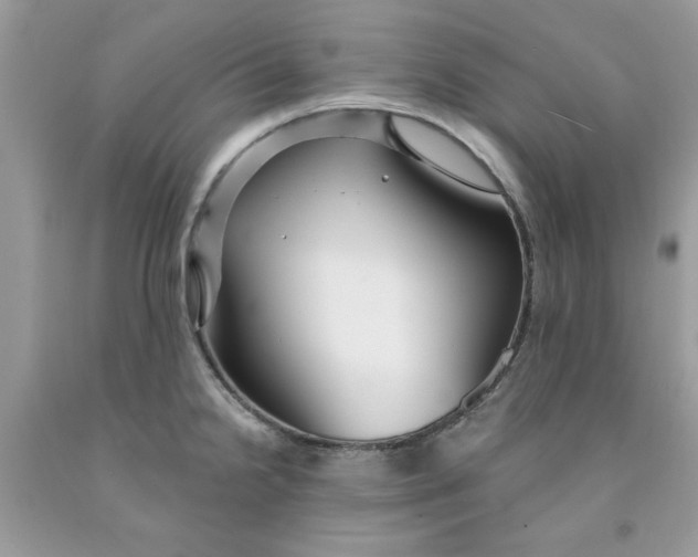 X0000091531238200709141429