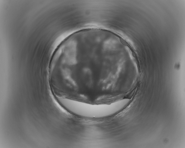 X0000091531239200709141429