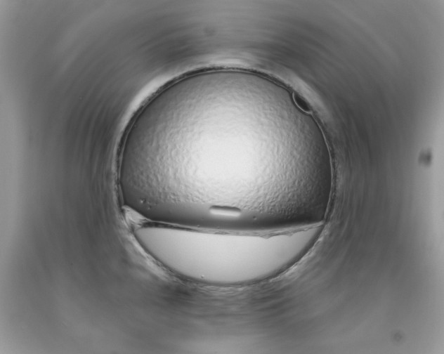 X0000091531240200709141429