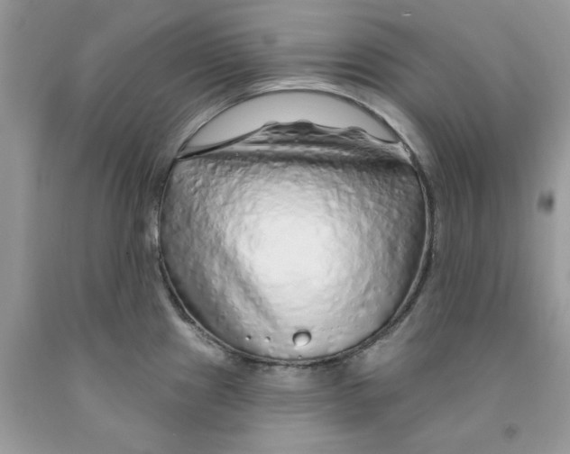 X0000091531241200709141429