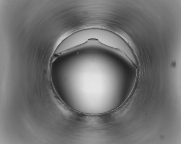 X0000091531242200709141429