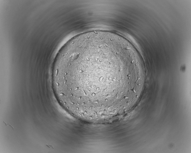 X0000091531243200709141429