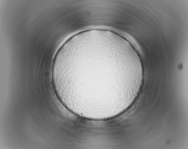 X0000091531244200709141429