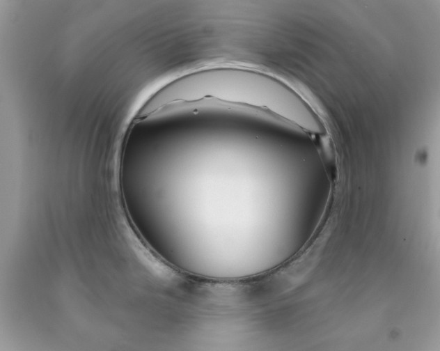 X0000091531246200709141429