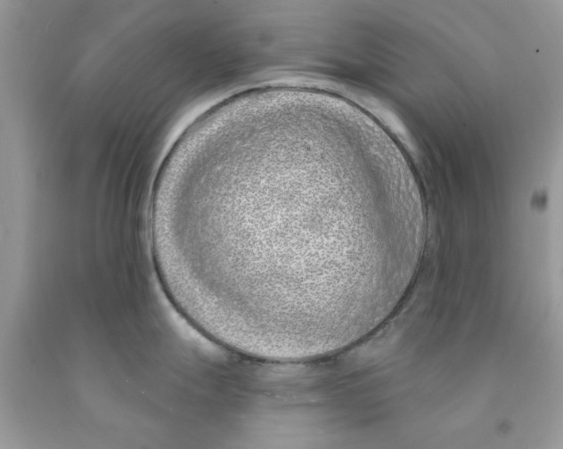 X0000091531247200709141429