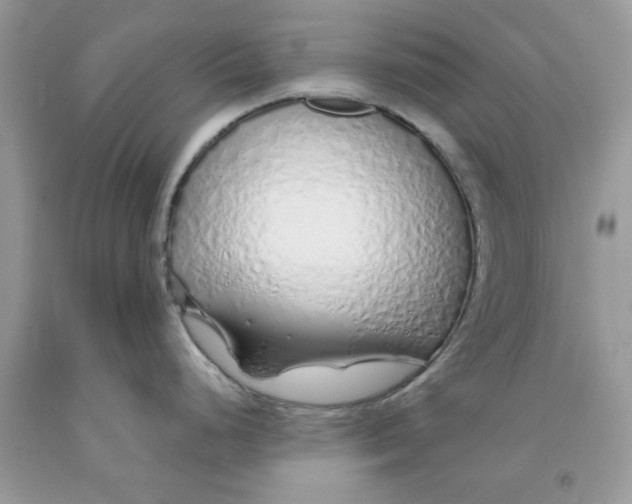 X0000091531248200709141429
