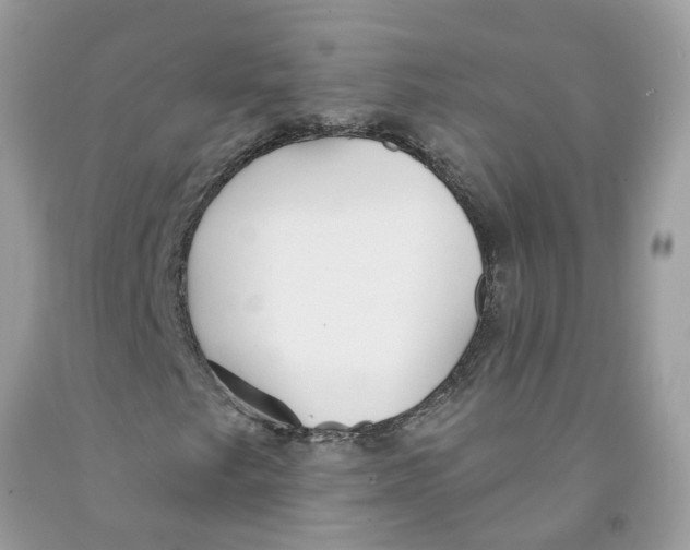 X0000091531249200709141428