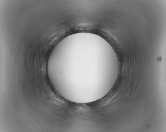 X0000091531250200709141428