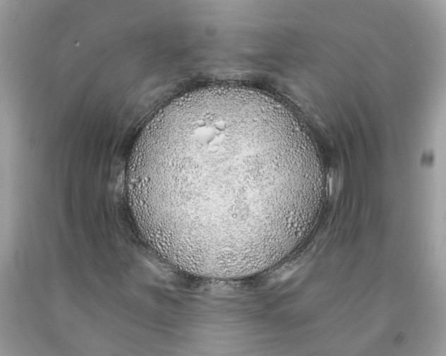 X0000091531251200709141428