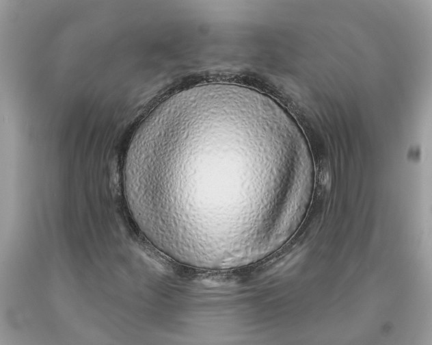 X0000091531252200709141428