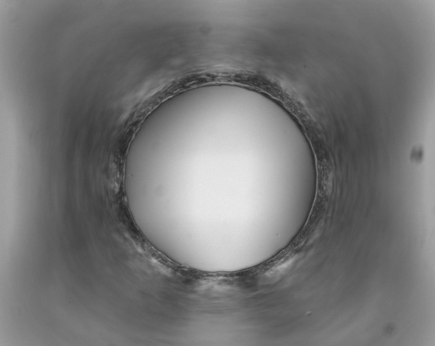 X0000091531253200709141428