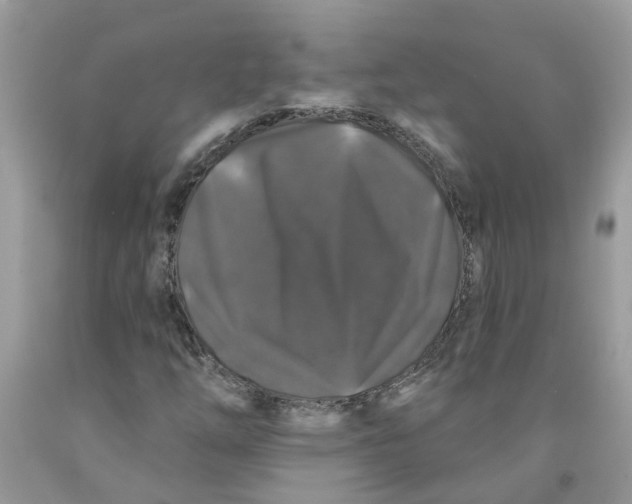 X0000091531254200709141428