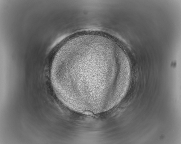 X0000091531255200709141428