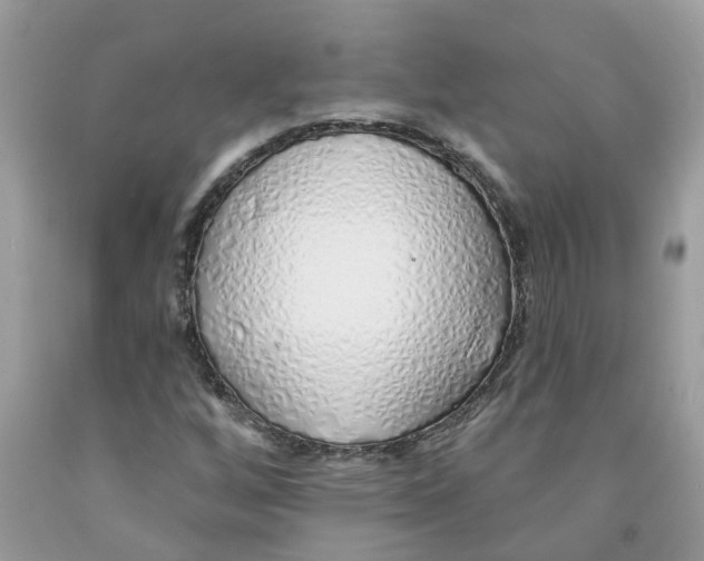 X0000091531256200709141428