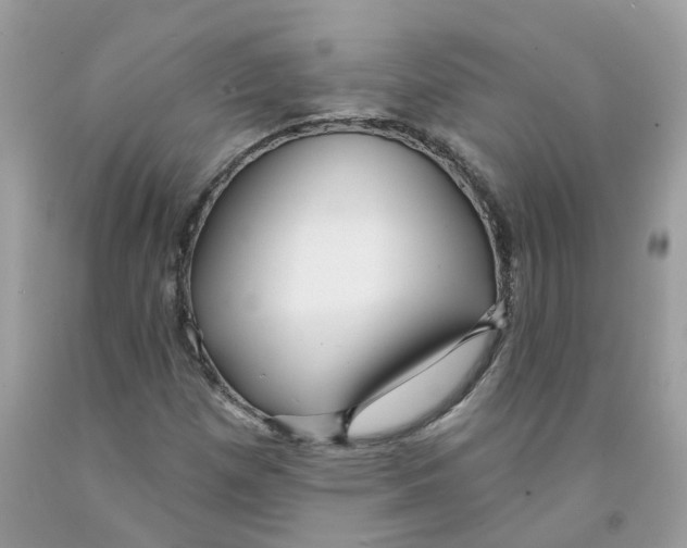 X0000091531257200709141428