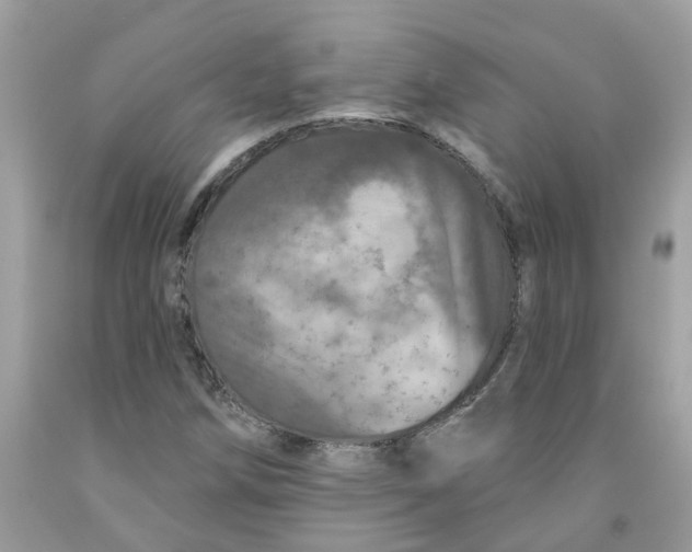 X0000091531258200709141428