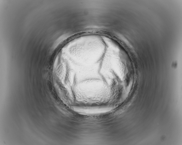 X0000091531259200709141428