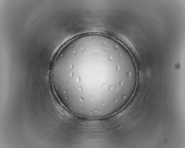 X0000091531260200709141428