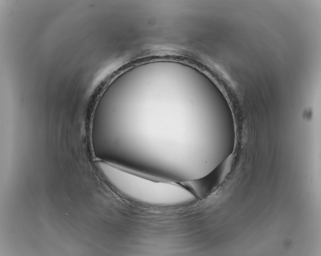 X0000091531261200709141428