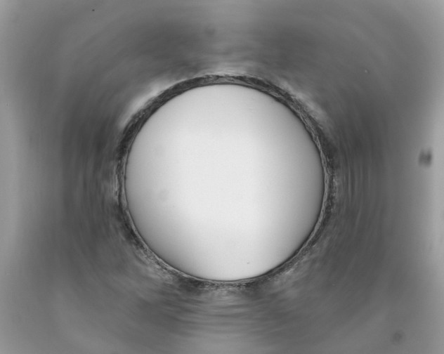 X0000091531262200709141428