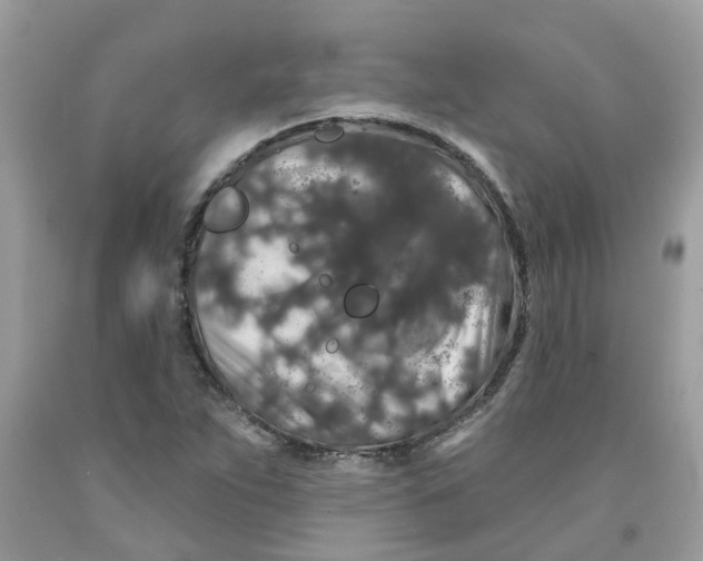 X0000091531263200709141428
