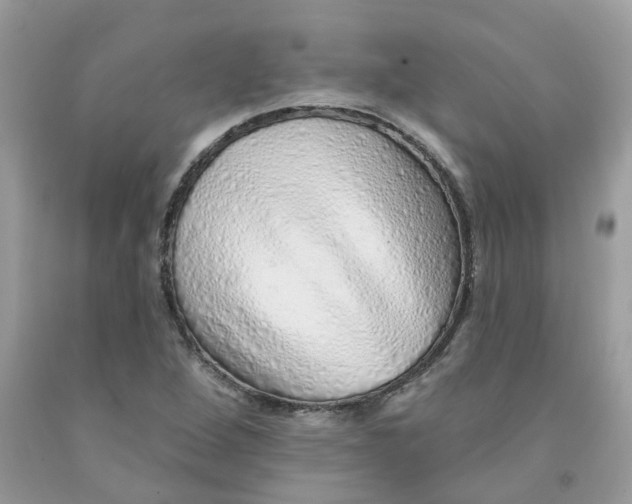 X0000091531264200709141428