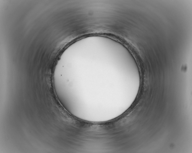 X0000091531265200709141428
