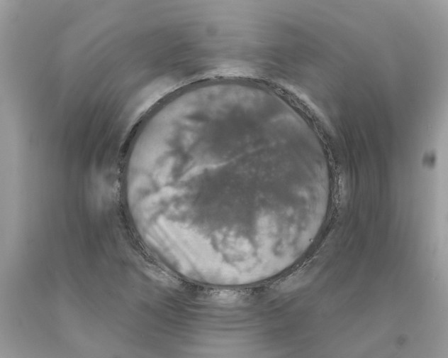 X0000091531266200709141428