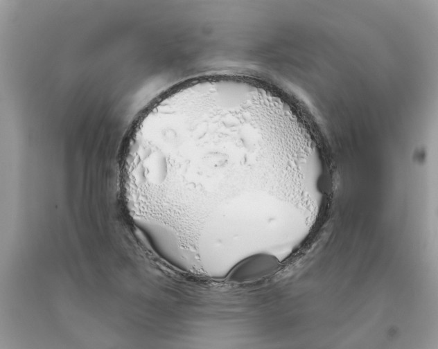 X0000091531267200709141428