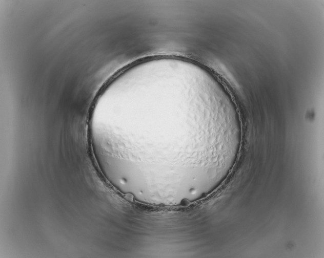 X0000091531268200709141428