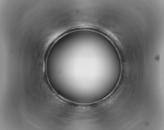 X0000091531269200709141428