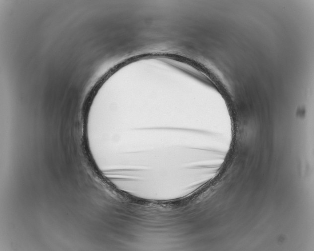 X0000091531270200709141428